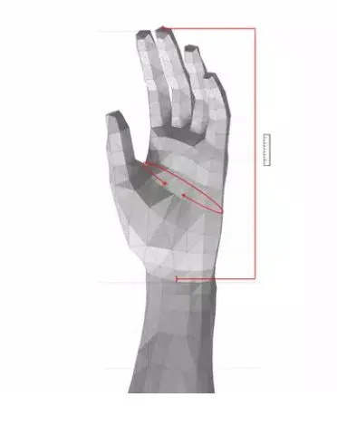 Toma de medidas de la mano para la talla del guante